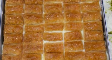 20180526_2_30573564_34087599_Web