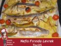 levrek