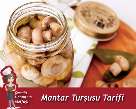 Mantar Turşusu Tarifi