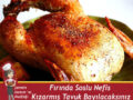 tavuk