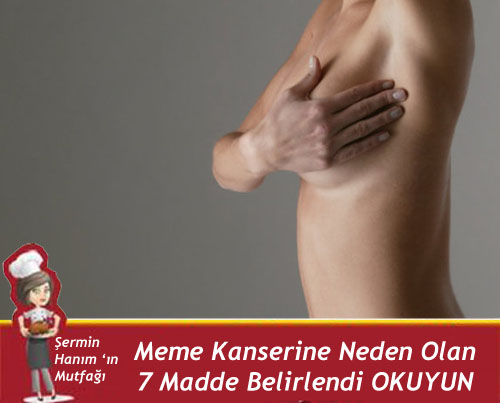Bu Maddeler Meme Kanseri Yapıyor
