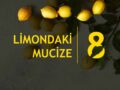 Limondaki 8 Mucize