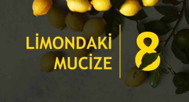 Limondaki 8 Mucize