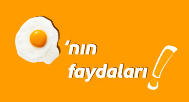 Olmazsa Olmaz Yiyecek Yumurta