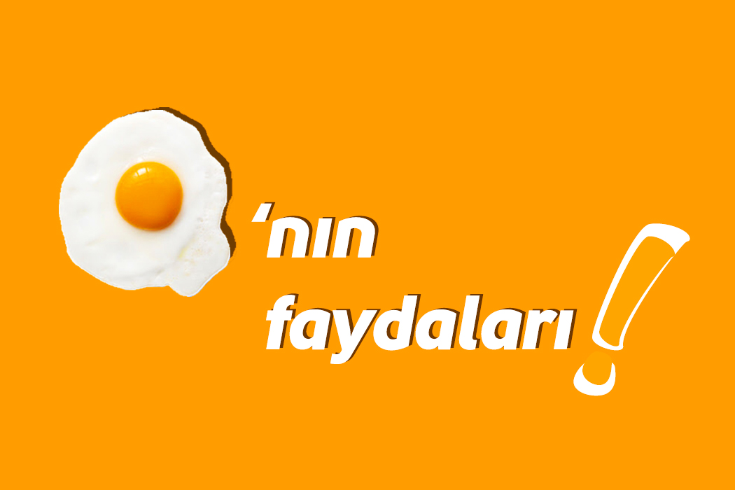 Olmazsa Olmaz Yiyecek Yumurta