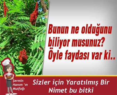 Bunun ne Olduğunu biliyormusunuz