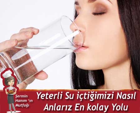 Günde ne Kadar Su İçmeliyiz