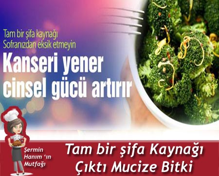 İşte Mucize Bitki