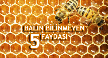 Balın Bilinmeyen 5 Faydası
