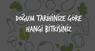 Doğum Tarihinize Göre Hangi Bitkisiniz?