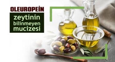 Zeytinin Bilinmeyen Mucizesi: Oleuropein