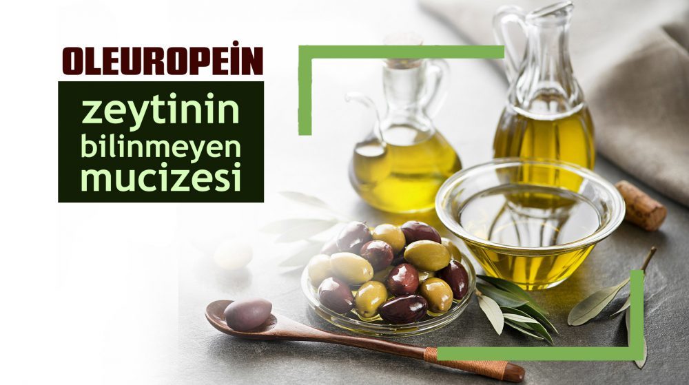Zeytinin Bilinmeyen Mucizesi: Oleuropein
