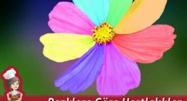 Renklere Göre Hastalıklar