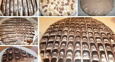 10891699_828078823921770_2080820879084456464_n