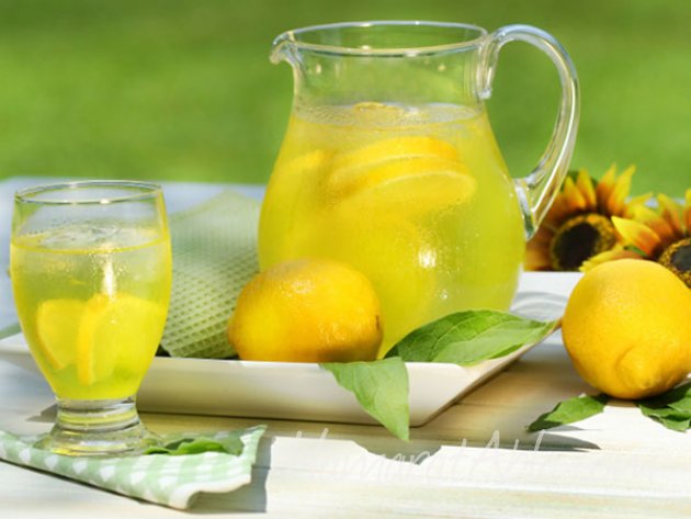 yesilcayli-limonata