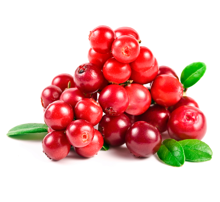 lingonberry