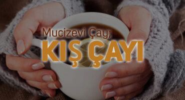 Kış Çayı Hakkında Her Şey