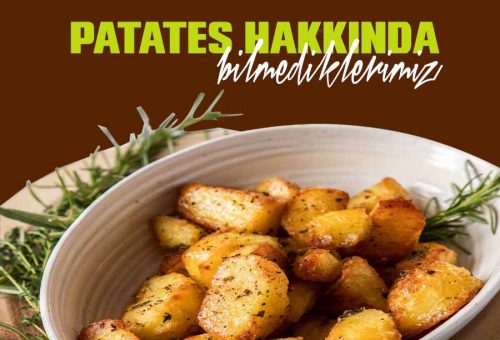 Patates Hakkında Bilmedikleriniz