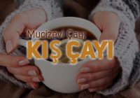 Kış Çayı Hakkında Her Şey