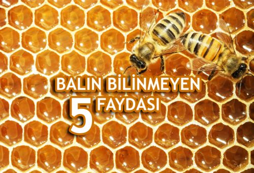 Balın Bilinmeyen 5 Faydası