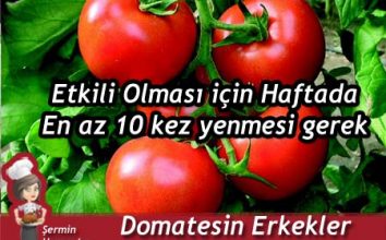 Domatesin Erkekler Üstündeki Etkisi