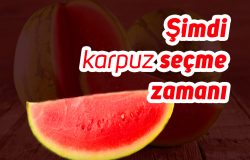 Şimdi Karpuz Seçme Zamanı