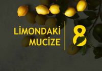 Limondaki 8 Mucize