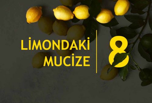 Limondaki 8 Mucize