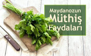 Maydanozun Müthiş Faydaları