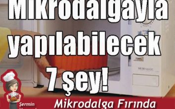 Mikrodalgada Yapılacak 7 Şey