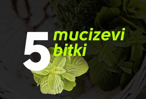 5 Mucizevi Bitki Şaşırtıyor