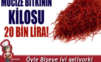 Kilosu 20BİN TL