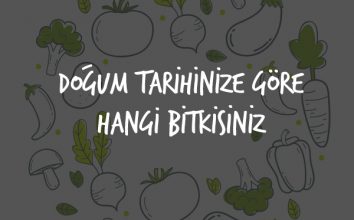 Doğum Tarihinize Göre Hangi Bitkisiniz?