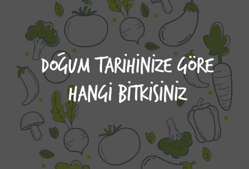 Doğum Tarihinize Göre Hangi Bitkisiniz?