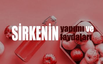 Sirkenin Yapımı ve Faydaları