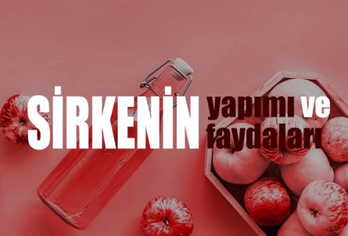 Sirkenin Yapımı ve Faydaları