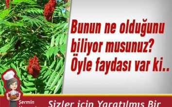 Bunun ne Olduğunu biliyormusunuz