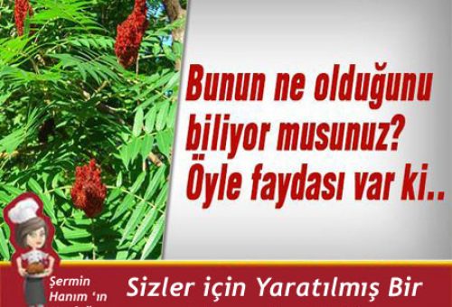 Bunun ne Olduğunu biliyormusunuz