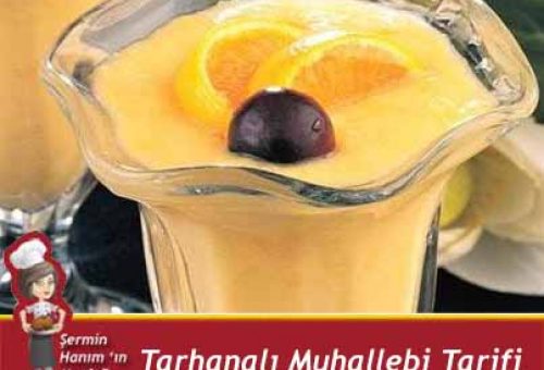 Tarhanalı Muhallebi Tarifi