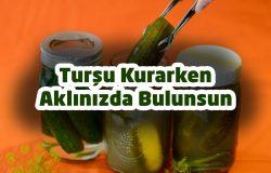 Turşu Kurarken Aklınızda Bulunsun