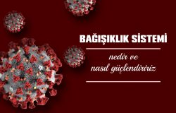 Bağışıklı Sistemi Nedir ve Nasıl Güçlendiririz