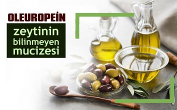 Zeytinin Bilinmeyen Mucizesi: Oleuropein