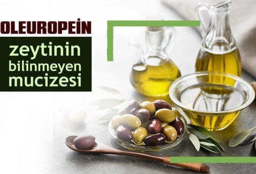 Zeytinin Bilinmeyen Mucizesi: Oleuropein