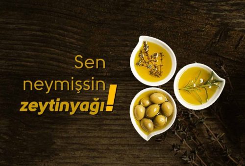 Sen Neymişsin Zeytinyağı